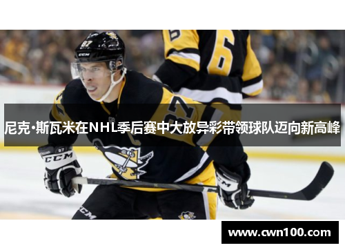 尼克·斯瓦米在NHL季后赛中大放异彩带领球队迈向新高峰