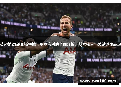 英超第21轮莱斯特城与水晶宫对决全面分析：战术较量与关键球员表现